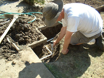 Installing a Pop-Up Sprinkelr Head